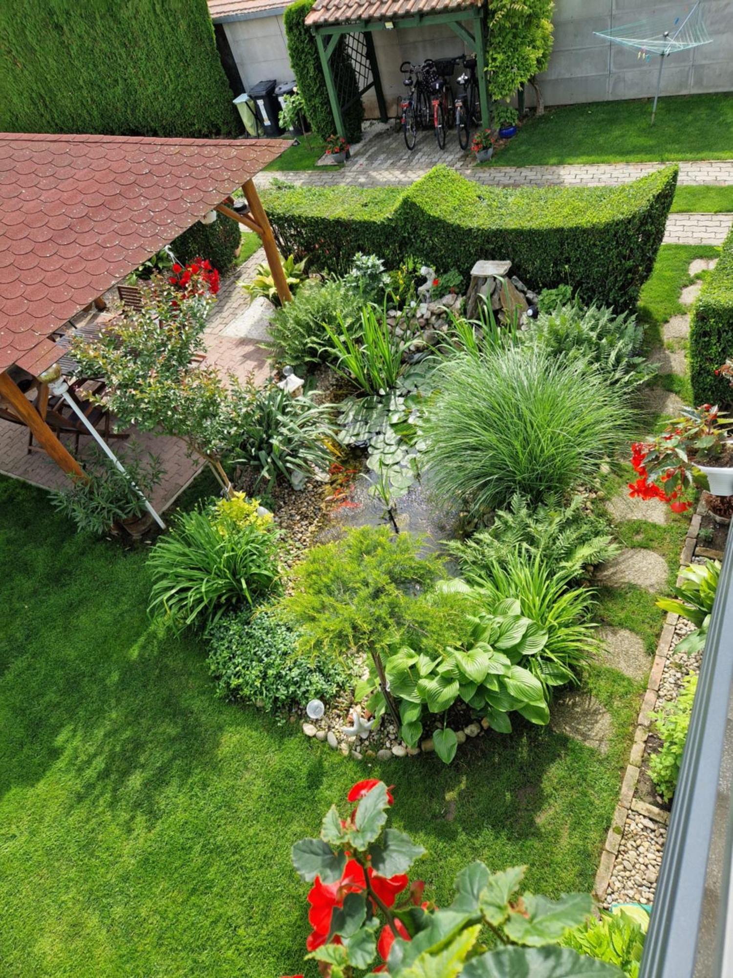 Hotel Hajnalka Vendeghaz Bük Zewnętrze zdjęcie